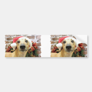Christmas - Greyhound - Pena Bumper Sticker