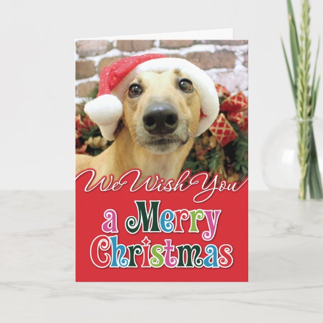 Christmas - Greyhound - Pena Holiday Card (Front)