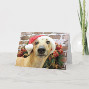 Christmas - Greyhound - Pena Holiday Card