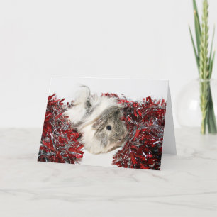 Christmas Guinea Pig Holiday Card