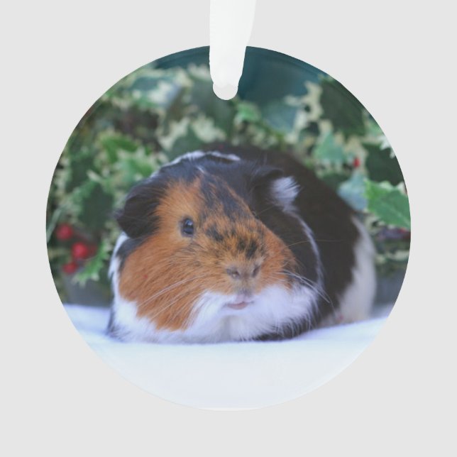 Christmas Guinea Pig Ornament (Front)