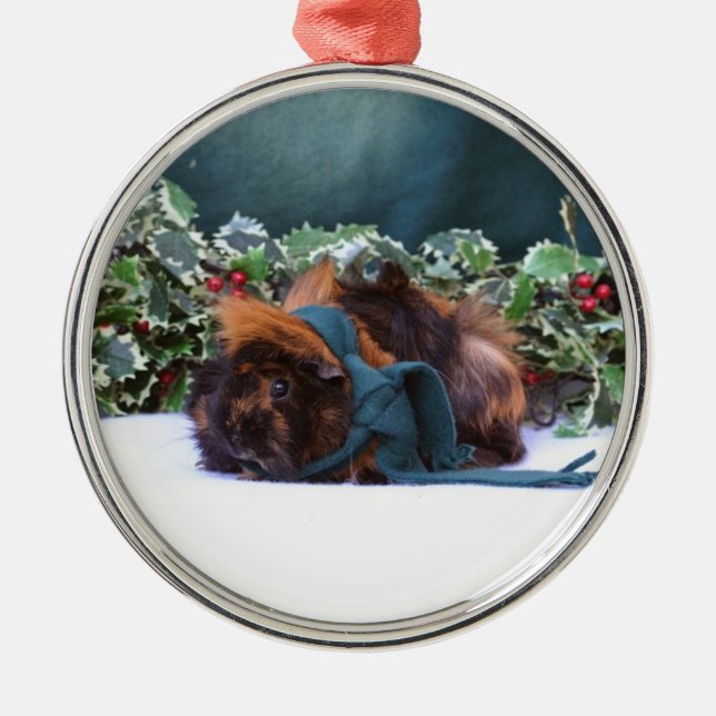 Christmas Guinea Pig Ornament (Front)