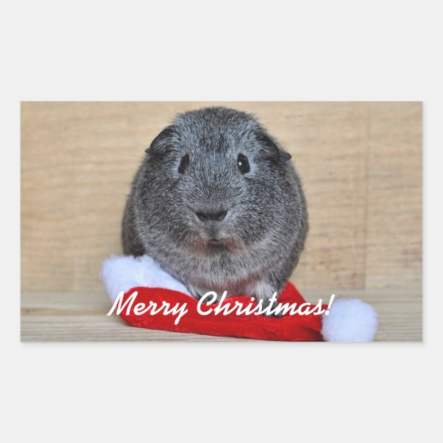 Christmas Guinea Pig Rectangular Sticker (Front)
