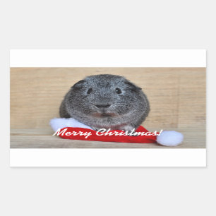 Christmas Guinea Pig Rectangular Sticker