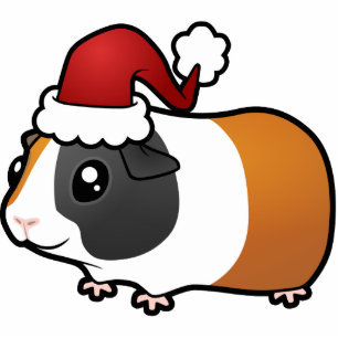Christmas Guinea Pig (smooth hair) Photo Sculpture Decoration