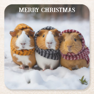 Christmas Guinea Pigs In The Snow Square Paper Coaster