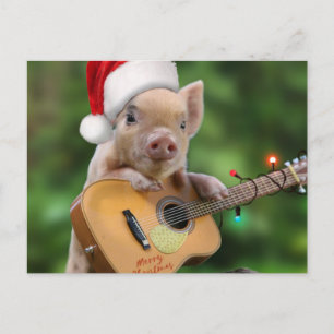 Christmas guitar pig postcard