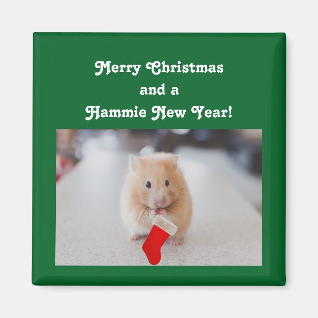 Christmas Hamster Magnet (Front)