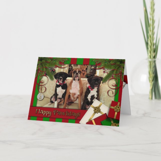 Christmas - Happy Pawlidays - Boxers Holiday Card (Front)