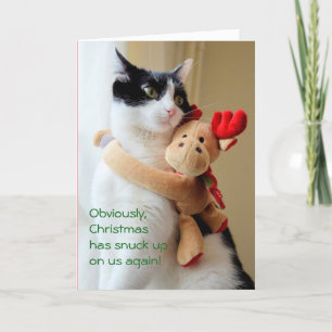 Christmas Has Snuck Up On Us Cat Greeting Card