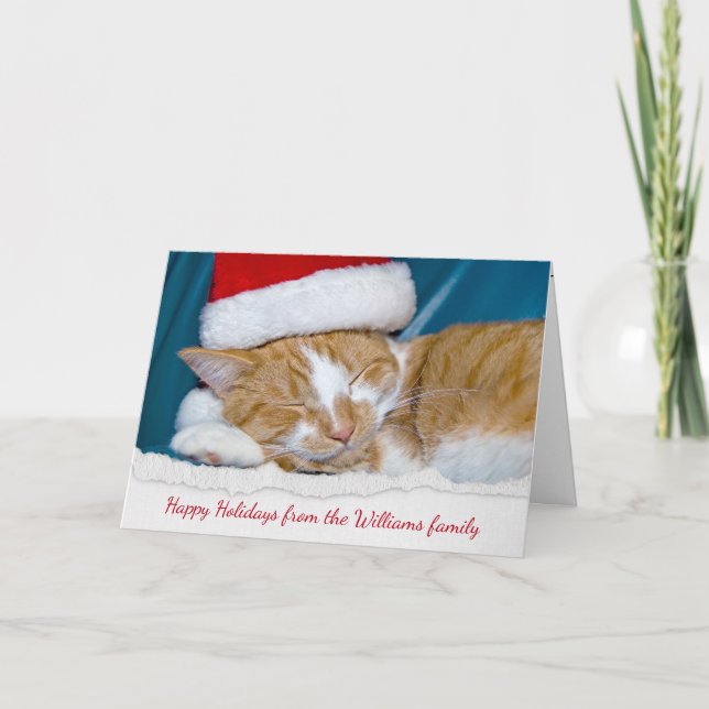 Christmas hat on tabby cat holiday card (Front)