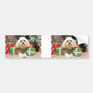 Christmas - Havanese - Mason Bumper Sticker