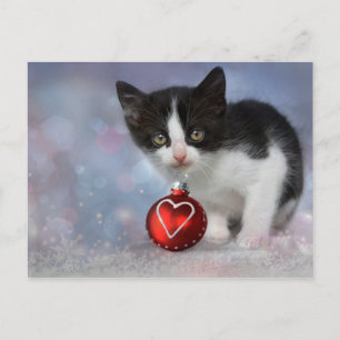 Christmas Heart Ornament Kitten Holiday Postcard