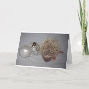 Christmas Hedgehog Holiday Card