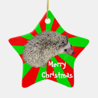 Christmas Hedgehog Ornament