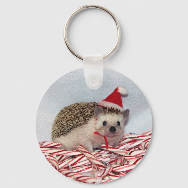 Christmas Hedgie Keychain (Front)
