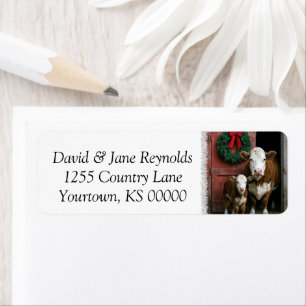 Christmas Hereford Cow and Calf