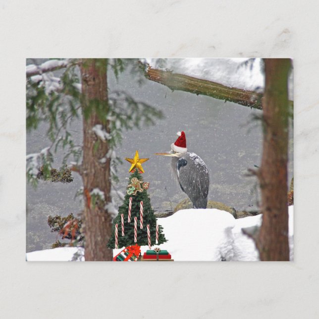 Christmas Heron in Snow Photo Holiday Postcard (Front)