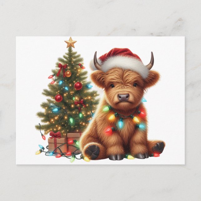 Christmas Highland Cow Postcard (Front)