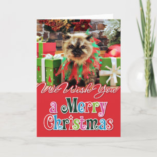 Christmas - Himalayan Cat - Pansy Holiday Card