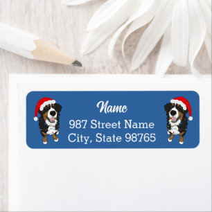 Christmas Holiday Bernese Mountain Dog