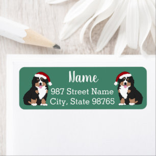 Christmas Holiday Bernese Mountain Dog