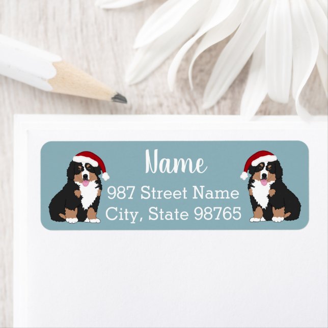 Christmas Holiday Bernese Mountain Dog  (Insitu)
