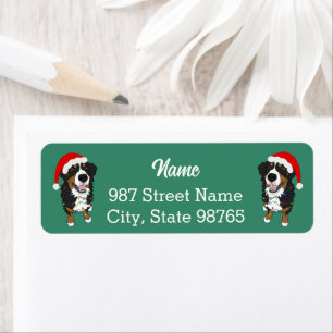 Christmas Holiday Bernese Mountain Dog