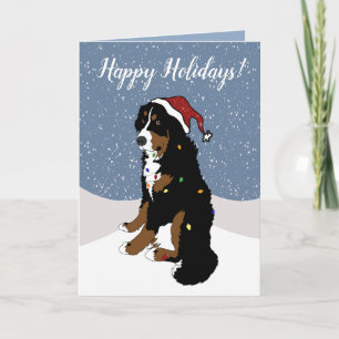 Christmas Holiday Bernese Mountain Dog Card