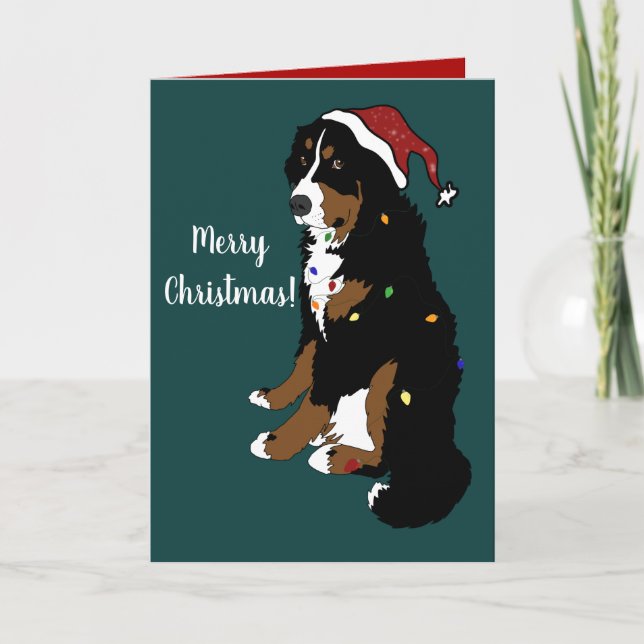 Christmas Holiday Bernese Mountain Dog Card (Front)