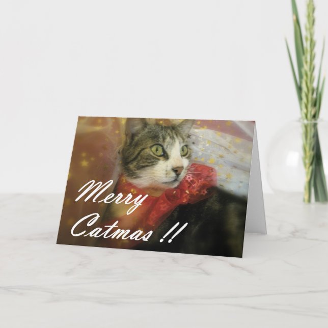 Christmas Holiday Card (Front)