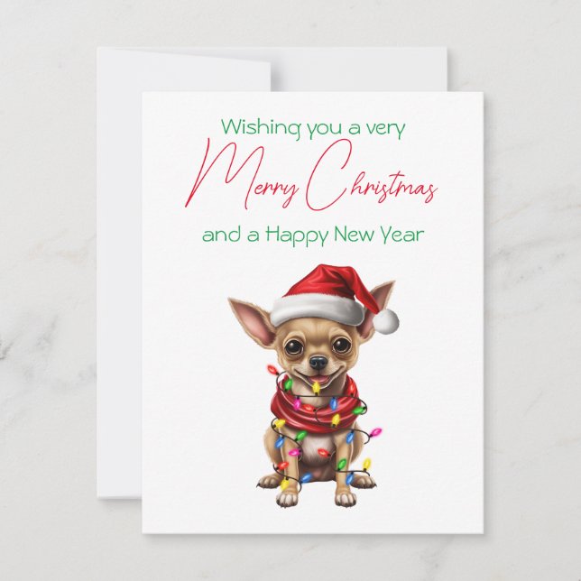 Christmas Holiday Card Dog in Hat Chihuahua  (Front)