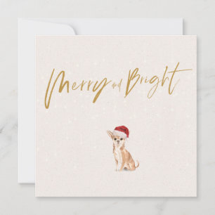 Christmas Holiday  Chihuahua Dog Merry Greeting