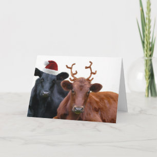 Christmas Holiday Cows in Santa Hat and Antlers Card
