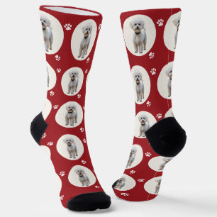 Christmas Holiday Crimson Red Custom Pet Photo Socks