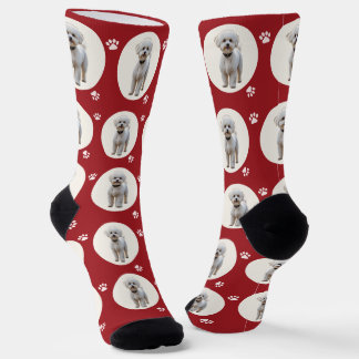 Christmas Holiday Crimson Red Custom Pet Photo Socks