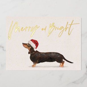Christmas Holiday Dachshund Dog Merry Greeting