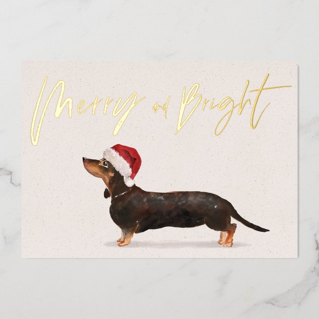 Christmas Holiday Dachshund Dog Merry Greeting (Front)