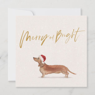 Christmas Holiday Dachshund Tan Dog Merry Greeting