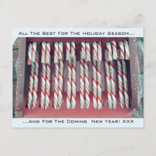 Christmas Holiday festive peppermint Candy Canes Postcard
