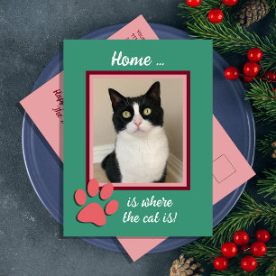 Christmas Holiday New Address Cat Postcard