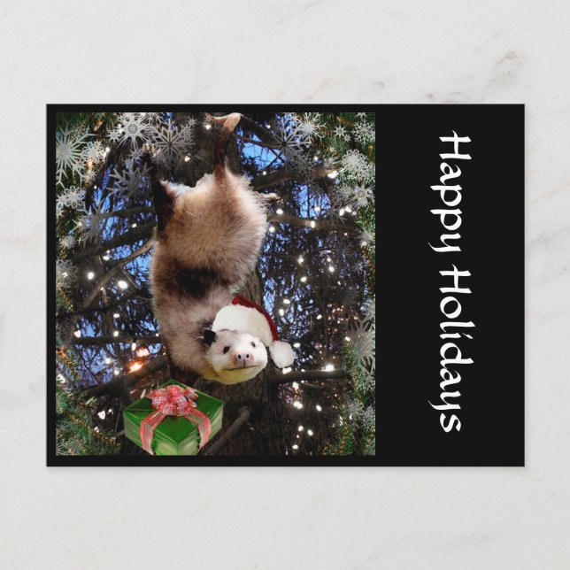 Christmas Holiday Opossum Postcard (Front)