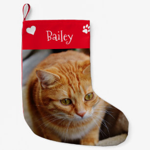 Christmas Holiday Pet Photo Template Customise Small Christmas Stocking