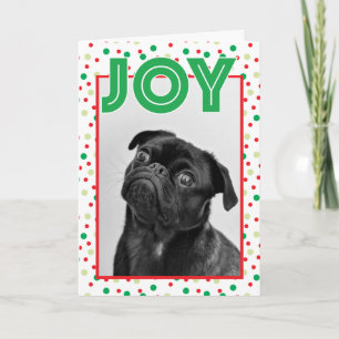 CHRISTMAS HOLIDAY PHOTO   Confetti Joy