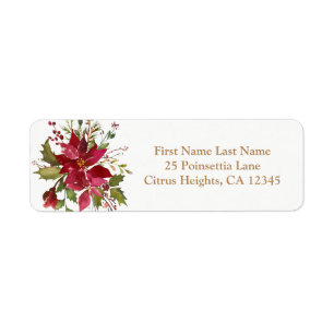 Christmas Holiday Poinsettia Flower Floral Winter