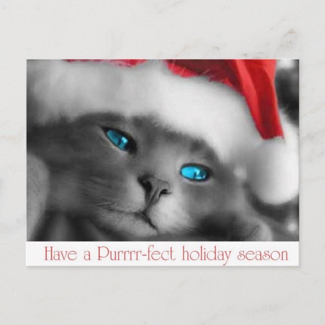 CHRISTMAS HOLIDAY POSTCARD (Front)