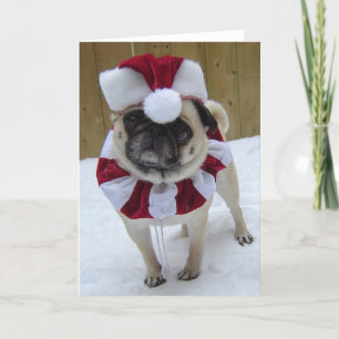 Christmas Holiday Pug in Snow