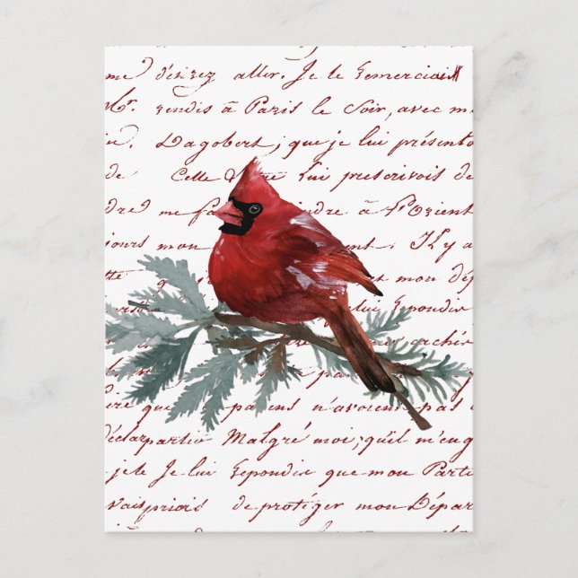 Christmas Holiday Red Cardinal Bird French Script Postcard (Front)