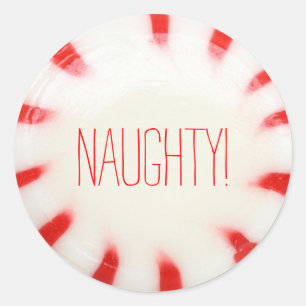 Christmas Holiday Stickers Nice or Naughty