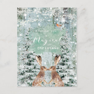 christmas holiday winter robin hares postcard